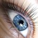 Close up of a blue eye with lifted lashes